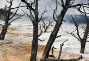 Yellowstone ist eine der vulkanisch aktivsten Regionen der Erde. Überall im Nationalpark finden sich heiße Quellen, Geysire und Fumarolen. Yellowstone ist eine der vulkanisch aktivsten Regionen der Erde. Überall im Nationalpark finden sich heiße Quellen, Geysire und Fumarolen.