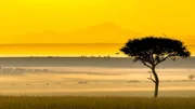 Während der Regenzeit steigt morgens oft Nebel über der Masai Mara auf. Während der Regenzeit steigt morgens oft Nebel über der Masai Mara auf.