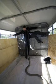 Liebt das Risiko: Schlangenbeschw&ouml;rer Bam Margera ...