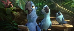 Weil es Jewel (M.) in Rio zu modern ist, macht sie sich zusammen mit Blu (l.), Carla (r.) und dem Rest der Familie auf in die Regenw&auml;lder des Amazonas ...