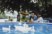 Dumas (Philip Michael Thomas, l.) Dumas (Philip Michael Thomas, l.)