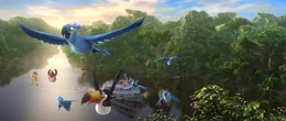 Sie brechen auf in die gro&szlig;e weite Welt und kommen hoffentlich am Amazonas an: Nico (l.), Pedro (2.v.l.), Carla (r.), Jewel (2.v.r.) und Blu (oben) ...