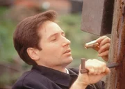In einem Verteilerkasten entdeckt Mulder (David Duchovny) einen Kabelfernsehdecoder, dessen elektronische Signale die Zuschauer zum M&ouml;rder werden lassen.