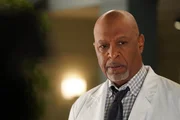 Dr. Richard Webber (James Pickens Jr.) Dr. Richard Webber (James Pickens Jr.)
