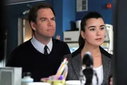 Ermitteln in einem neuen Fall: Ziva (Cote de Pablo, r.) und DiNozzo (Michael Weatherly, l.) ...