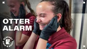Die Fütterung der putzigen Wassermarder wird für Inga und Laura zur Herausforderung. Das laute Geschrei und der heftige Gestank sind kaum auszuhalten. Die Fütterung der putzigen Wassermarder wird für Inga und Laura zur Herausforderung. Das laute Geschrei und der heftige Gestank sind kaum auszuhalten.
