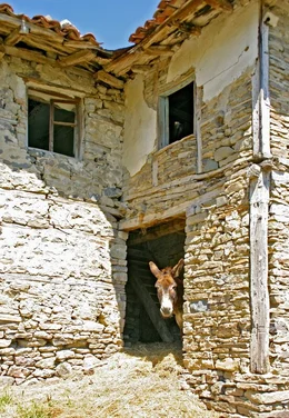 In Bulgarien scheint die Zeit vielerorts stehen geblieben zu sein.