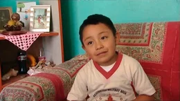 Am 24. April 2009 blickt die Welt&ouml;ffentlichkeit auf ein kleines Dorf in Mexiko mit Namen La Gloria.  Im Blut des 5j&auml;hrigen Edgar Hernandez wird zum ersten Mal das neue Virus H1N1, die Schweinegrippe nachgewiesen. Der kleine Junge erholt sich. Aber zur selben Zeit, Ende April, sind in Mexiko schon 81 Menschen gestorben.