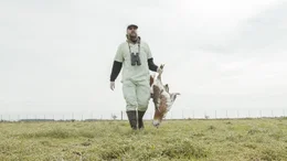Ein toter Gro&szlig;trappenhahn wird zur Untersuchung mitgenommen.