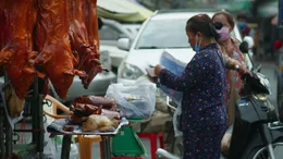 Ein Wildtiermarkt in Phnom Penh.