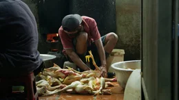 Ein Mann zerlegt H&uuml;hner auf einem Wildtiermarkt in Phnom Penh