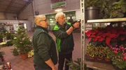 Im Blumengroßhandel scannt Undercover Boss Dirk Bader alias Alfred Bauer Ware. Eingewiesen wird er von Mitarbeiterin Anja Seibert. Im Blumengroßhandel scannt Undercover Boss Dirk Bader alias Alfred Bauer Ware. Eingewiesen wird er von Mitarbeiterin Anja Seibert.