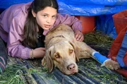Ein Wilderer geht um im Waldauer Forst. H&uuml;ndin Pari konnte aus einer seiner Fallen gerettet werden. Nun macht sie sich mit Ronja (Kaya V&ouml;lkers) auf Verbrecherjagd.