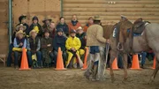Cowboykurs, Theoriestunde auf der G&auml;steranch.