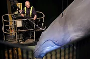 In 19 m H&ouml;he den Blauwal absaugen &ndash; Ren&eacute; Dietrichkeit (Teamleiter Technik).