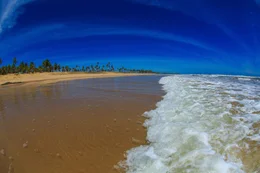 Sonne, Meer und ein Palmenstrand &ndash; ein Traumziel f&uuml;r viele...