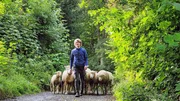 SRF bi de Lüt – z'Alp Staffel 2 Mathias Rüesch, Schafzüchter aus St. Margrethen: Seine Tiere sind im Engadin auf der Alp Plazér. SRF bi de Lüt – z'Alp Staffel 2 Mathias Rüesch, Schafzüchter aus St. Margrethen: Seine Tiere sind im Engadin auf der Alp Plazér.