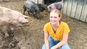 Wildschweine und Hausschweine dürfen auf Gut Streiflach alt werden. Wildschweine und Hausschweine dürfen auf Gut Streiflach alt werden.