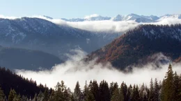 Das Mangfallgebirge bietet Lebensr&auml;ume, die im Flachland bereits verloren sind. Weiteres Bildmaterial finden Sie unter www.br-foto.de.