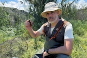 Savvas Zotos, Biologe und Reptilien-Forscher der Offenen Universität Zyperns, hält einen Roten Amerikanischen Sumpfkrebs in den Händen. Die invasive Art nimmt den Lebensraum der heimischen Schildkröten ein. Savvas Zotos, Biologe und Reptilien-Forscher der Offenen Universität Zyperns, hält einen Roten Amerikanischen Sumpfkrebs in den Händen. Die invasive Art nimmt den Lebensraum der heimischen Schildkröten ein.
