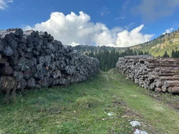 Noch immer liegen einige St&auml;mme der 2018 zu Tausenden umgest&uuml;rzten B&auml;ume der Bergw&auml;lder an den H&auml;ngen.