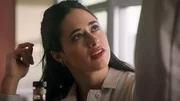 Liz Ortecho (Jeanine Mason)