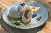 Eine in Mähren beliebte Mahlzeit in den Sommermonaten: Aprikosenknödel mit zerlassener Butter, Puderzucker und Quark. Eine in Mähren beliebte Mahlzeit in den Sommermonaten: Aprikosenknödel mit zerlassener Butter, Puderzucker und Quark.