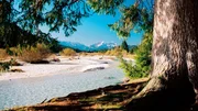 Die Isar im Herbst: Von Oktober bis Dezember suchen Bachforellen ihre Laichpl&auml;tze in kleineren Zufl&uuml;ssen oder seichteren Seitenarmen des Flusses auf. Weiteres Bildmaterial finden Sie unter www.br-foto.de.