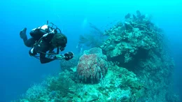 Forscher erkunden Gestalt und Ausma&szlig;e der Cayman Crown - und ihre Bewohner.