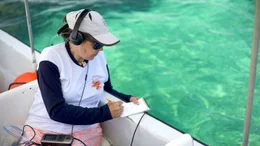 Meeresbiologin Michelle Sch&auml;rer lauscht mit einem Unterwasser-Mikrofon den Kl&auml;ngen des Mangrovenwalds an der K&uuml;ste von Belize.