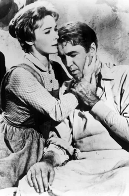 Trotz gewisser Schwierigkeiten entwickelt sich zwischen der h&uuml;bschen Hallie (Vera Miles) und dem rechtschaffenen Anwalt Stoddard (James Stewart) eine innige Liebesbeziehung.