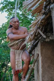 Die St&auml;dte der Maya geh&ouml;ren zu der Zeit zu den gr&ouml;&szlig;ten der Welt.