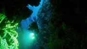 Zur spektakulären Unterwasserlandschaft rund um die Cayman Crown gehören auch Felsklüfte und Höhlen. Zur spektakulären Unterwasserlandschaft rund um die Cayman Crown gehören auch Felsklüfte und Höhlen.