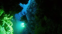 Zur spektakul&auml;ren Unterwasserlandschaft rund um die Cayman Crown geh&ouml;ren auch Felskl&uuml;fte und H&ouml;hlen.