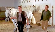 Katharina (Eva Herzig, r.) geht einem Hinweis von Michael nach, der sie auf Unregelmäßigkeiten im Stammbaum eines teuren Lipizzanerhengstes aufmerksam gemacht hat. Im Bild: V.l. Bürgermeister Brunner (Cornelius Obonya) und Dr. Michael Haas (Thomas Unger) Katharina (Eva Herzig, r.) geht einem Hinweis von Michael nach, der sie auf Unregelmäßigkeiten im Stammbaum eines teuren Lipizzanerhengstes aufmerksam gemacht hat. Im Bild: V.l. Bürgermeister Brunner (Cornelius Obonya) und Dr. Michael Haas (Thomas Unger)
