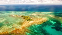 Gladden Spit ist ein Meeresschutzgebiet vor der K&uuml;ste von Belize.