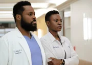 Dr. AJ Aust (Malcolm-Jamal Warner, l.); Dr. Mina Okafor (Shaunette Renée Wilson, r.) Dr. AJ Aust (Malcolm-Jamal Warner, l.); Dr. Mina Okafor (Shaunette Renée Wilson, r.)