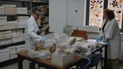 Beruht Homers Odyssee auf wahren Ereignissen? Das wollen Wissenschaftler erforschen und begeben sich auf Spurensuche. Beruht Homers Odyssee auf wahren Ereignissen? Das wollen Wissenschaftler erforschen und begeben sich auf Spurensuche.