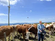 Bergb&auml;uerin Silvia Buchebner auf der Rattner-Alm im Joglland.