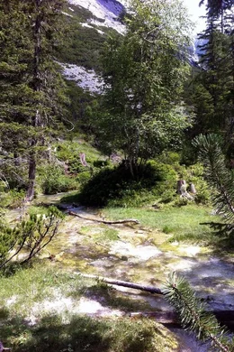 An mehreren Stellen sprudeln B&auml;chlein aus dem Hang und vereinen sich sogleich zur jungen Isar. Mit nur 4 bis 6 Grad ist ihr Quellwasser eiskalt und sehr sauerstoffreich.