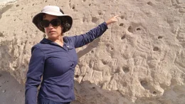 Die Arch&auml;ologin Daniela Valenzuela steht in der Atacama-W&uuml;ste in der N&auml;he der Stadt Arica, im Norden Chiles. Sie versucht, das R&auml;tsel &uuml;ber die Entstehungsgeschichte der rund 5.000 Geoglyphen in der Atacama-W&uuml;ste zu l&ouml;sen.