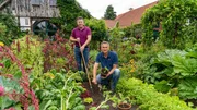 Nach Versmold geht die zweite Gartenreise. Hier beackern Klaus Wagenhuber (r) und Jan Leßmeier (l) ihr Paradies. Der 1,5 Hektar große Landhausgarten gehört zu den schönsten Deutschlands und das Anwesen wird in der Liste der Kulturlandschaft prägenden Hofstellen Ostwestfalens geführt. Im klassisch westfälischen Bauerngarten wachsen Sommerblumen aus Großmutters Zeiten und so viel Gemüse, dass die Naturfreunde fast Selbstversorger sind. Nach Versmold geht die zweite Gartenreise. Hier beackern Klaus Wagenhuber (r) und Jan Leßmeier (l) ihr Paradies. Der 1,5 Hektar große Landhausgarten gehört zu den schönsten Deutschlands und das Anwesen wird in der Liste der Kulturlandschaft prägenden Hofstellen Ostwestfalens geführt. Im klassisch westfälischen Bauerngarten wachsen Sommerblumen aus Großmutters Zeiten und so viel Gemüse, dass die Naturfreunde fast Selbstversorger sind.
