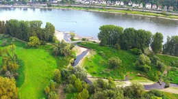 Das M&uuml;ndungsgebiet der Ahr steht unter Naturschutz. Als einzige von 42 Nebenfl&uuml;ssen des Rheins flie&szlig;t nur die Ahr in ihrem M&uuml;ndungsgebiet in einem selbst geschaffenen Bett. Durch freies unbeeinflusstes M&auml;andrieren, st&auml;ndiges Umlagern der Sand- und Kiesmassen ist dieses Gebiet auch heute noch einem st&auml;ndigen Wandel unterworfen.