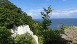 Kreidefelsen auf R&uuml;gen.
