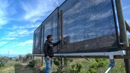 Miguel Carcuro gr&uuml;ndete 2012 mit seinem Bruder Marco die Brauerei &bdquo;Atrapaniebla&ldquo; s&uuml;dlich der Stadt La Serena in Chile. Ihr Bier brauen die Br&uuml;der in der kargen Region aus Nebel. Dazu verwenden sie so genannte &bdquo;Atrapaniebla&ldquo;, auf Deutsch &bdquo;Nebelf&auml;nger&ldquo;. Netze, die auf den Bergh&auml;ngen der Umgebung aufgestellt sind und den K&uuml;stennebel auffangen, der durch den kalten Humboldt-Strom vom Meer aus in Richtung K&uuml;stengebirge zieht.