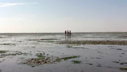 Blick auf das Wattenmeer von Sylt.
