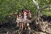 Die Kinder aus Madibago im Südwesten der Philippinen haben einen der außergewöhnlichsten und gefährlichsten Schulwege der Welt. Denn um ihre Schule zu erreichen, müssen schon die Siebenjährigen eine Steilwand mitten im Dschungel erklimmen. Die Kinder aus Madibago im Südwesten der Philippinen haben einen der außergewöhnlichsten und gefährlichsten Schulwege der Welt. Denn um ihre Schule zu erreichen, müssen schon die Siebenjährigen eine Steilwand mitten im Dschungel erklimmen.