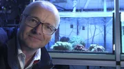 Am Alfred-Wegener-Institut für Polar- und Meeresforschung (AWI) in Bremerhaven besucht Karsten Schwanke die Aquarien der Korallenforscher. Eine bunte Südseewelt. Am Alfred-Wegener-Institut für Polar- und Meeresforschung (AWI) in Bremerhaven besucht Karsten Schwanke die Aquarien der Korallenforscher. Eine bunte Südseewelt.