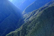 Die Hochebene der Huon-Halbinsel im Osten von Papua-Neuguinea ist von Harz -und zahlreichen anderen Steineibengewaechsen ueberzogene Waelder bedeckt. Die Hochebene der Huon-Halbinsel im Osten von Papua-Neuguinea ist von Harz -und zahlreichen anderen Steineibengewaechsen ueberzogene Waelder bedeckt.