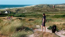 D&uuml;nenlandschaft auf Sylt.